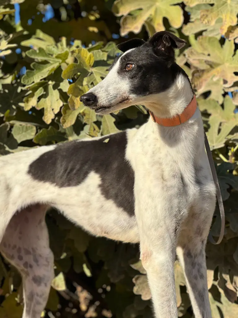 PHOTO-2025-01-15-13-10-30 (7).webp