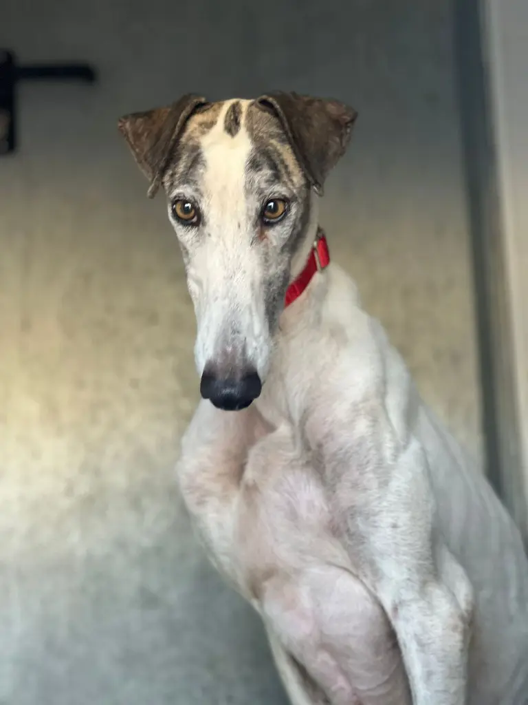 PHOTO-2025-01-27-21-50-21 (1).webp