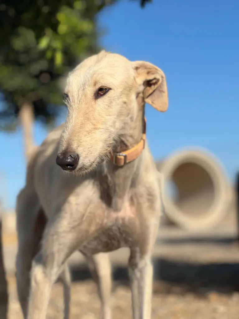 PHOTO-2025-01-20-09-50-15 (1).webp