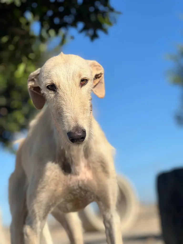 PHOTO-2025-01-20-09-50-15 (3).webp