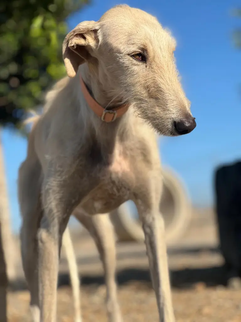 PHOTO-2025-01-20-09-50-15 (4).webp