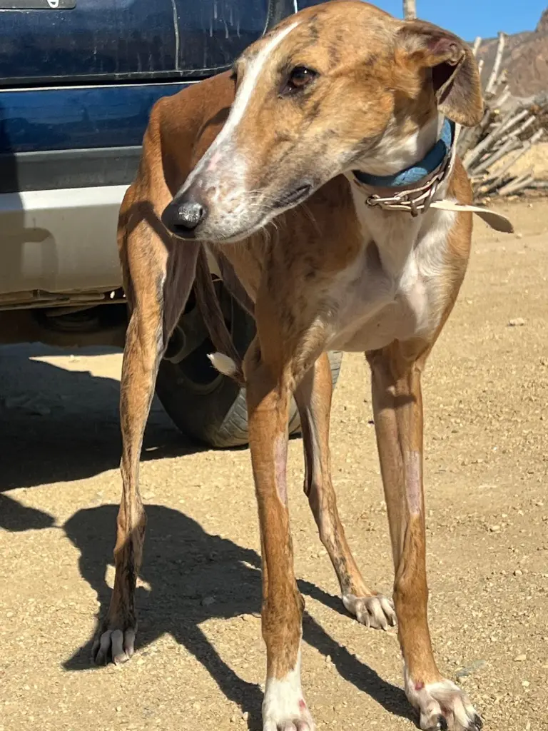 PHOTO-2025-02-13-14-18-34 (2).webp