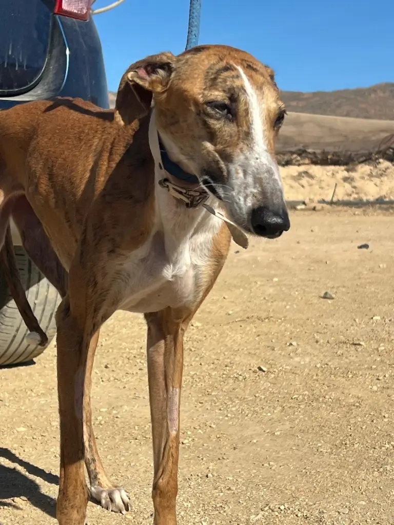 PHOTO-2025-02-13-14-18-34 (3).webp