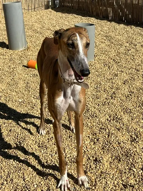 PHOTO-2025-02-13-14-18-34 (4).webp