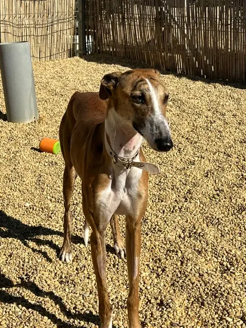 PHOTO-2025-02-13-14-18-34 (5).webp