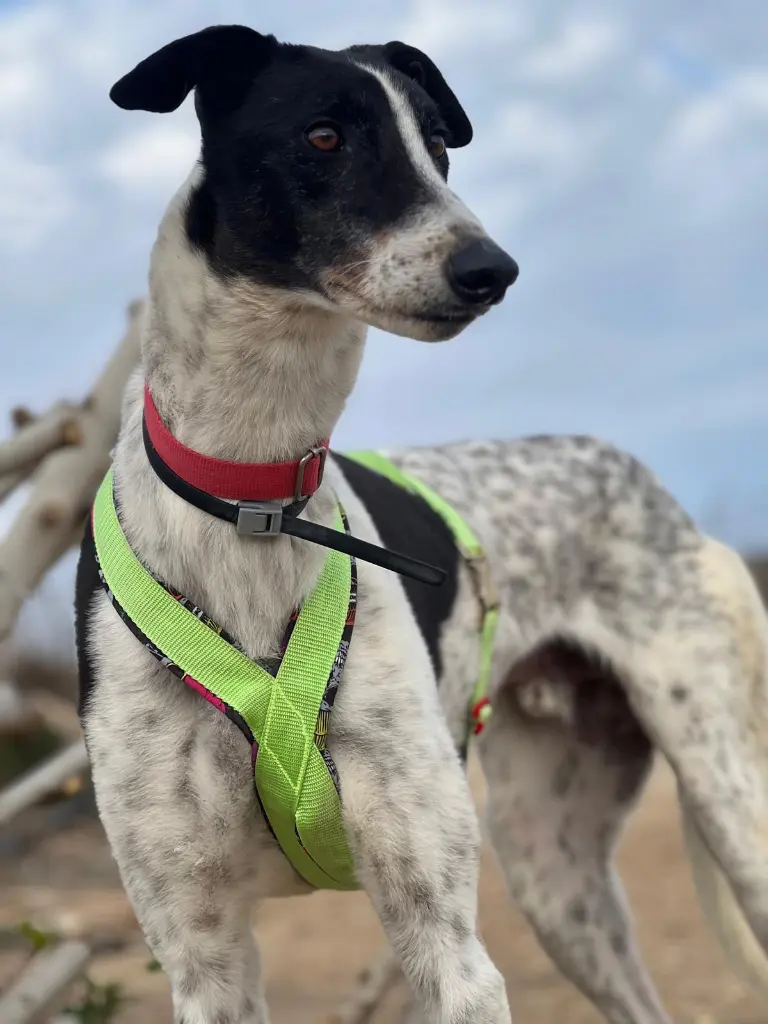 PHOTO-2025-03-27-09-11-48 (2).webp