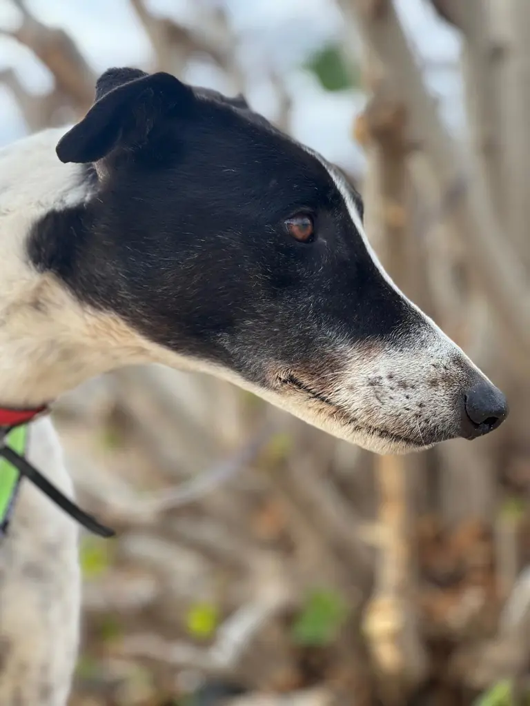 PHOTO-2025-03-27-09-11-48 (6).webp