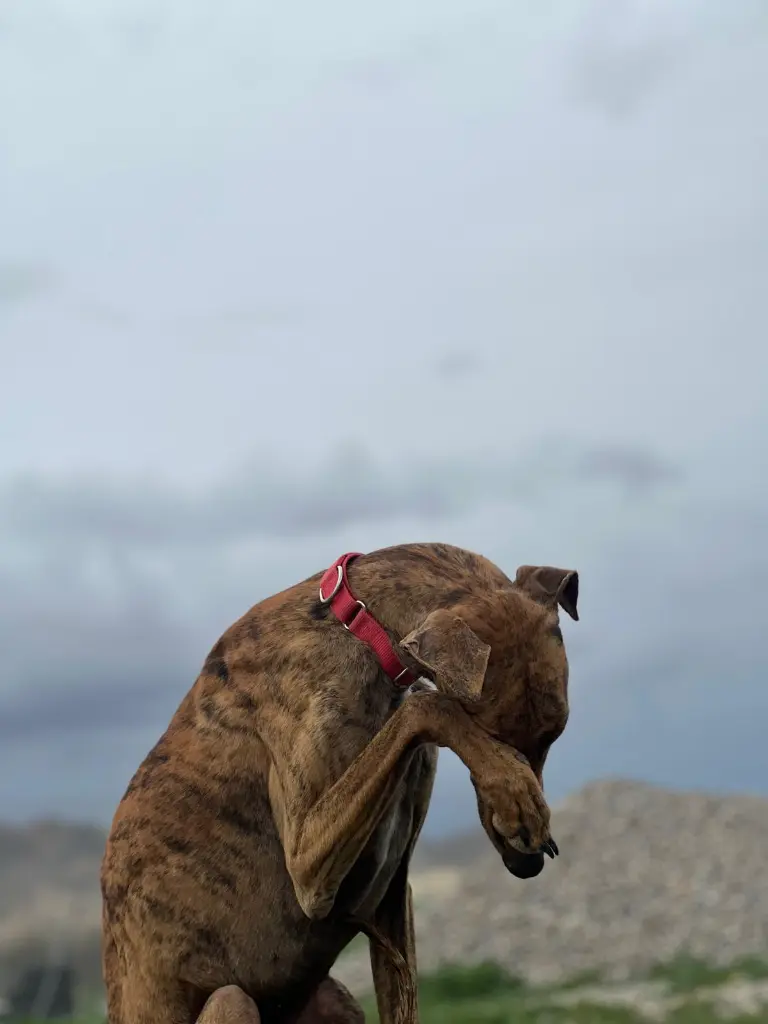 539497b0-a697-46e6-ad1a-8005d18ed75e (1).webp