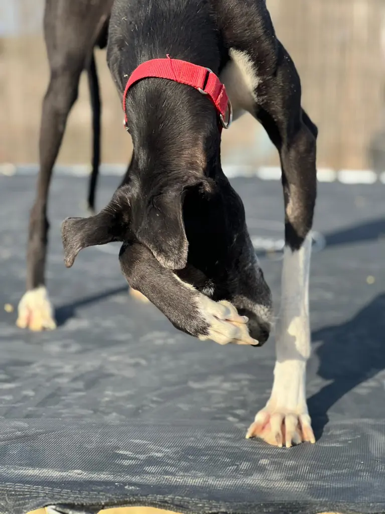 PHOTO-2025-05-18-19-28-20 (1).webp