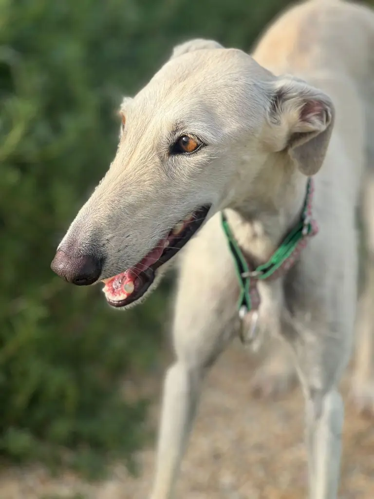 93b26366-54d6-43e6-a0da-f3729b138b12 (1).webp