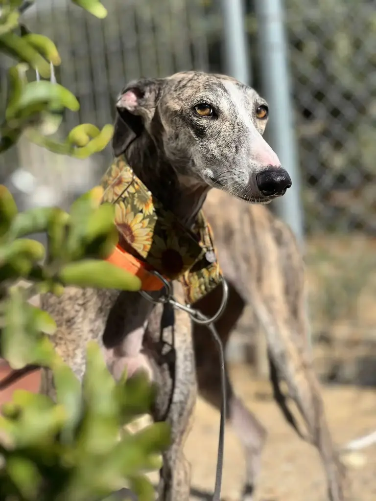 Roquita 2 years