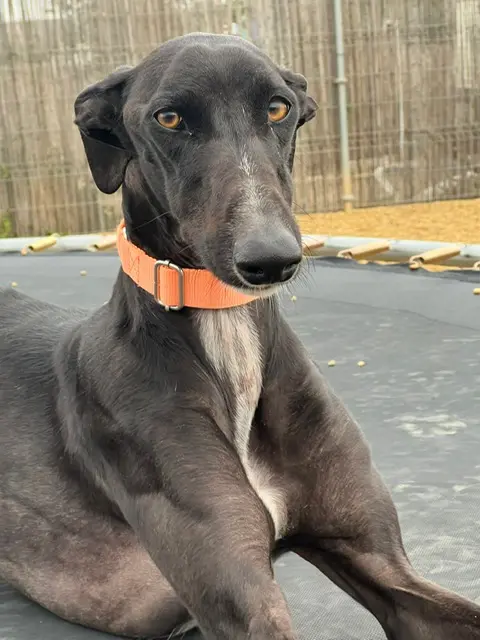 Carla 2 Years