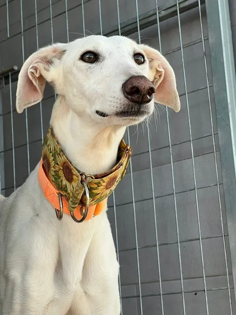 Josefa, 6 years