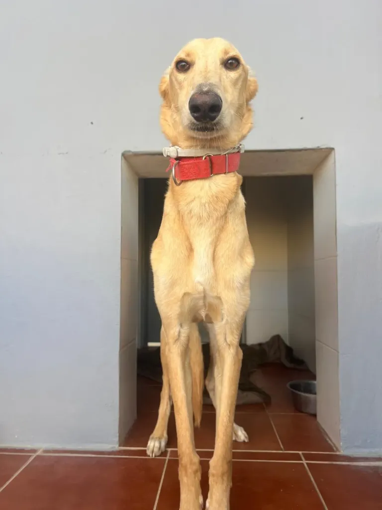 Marlon, 1 year