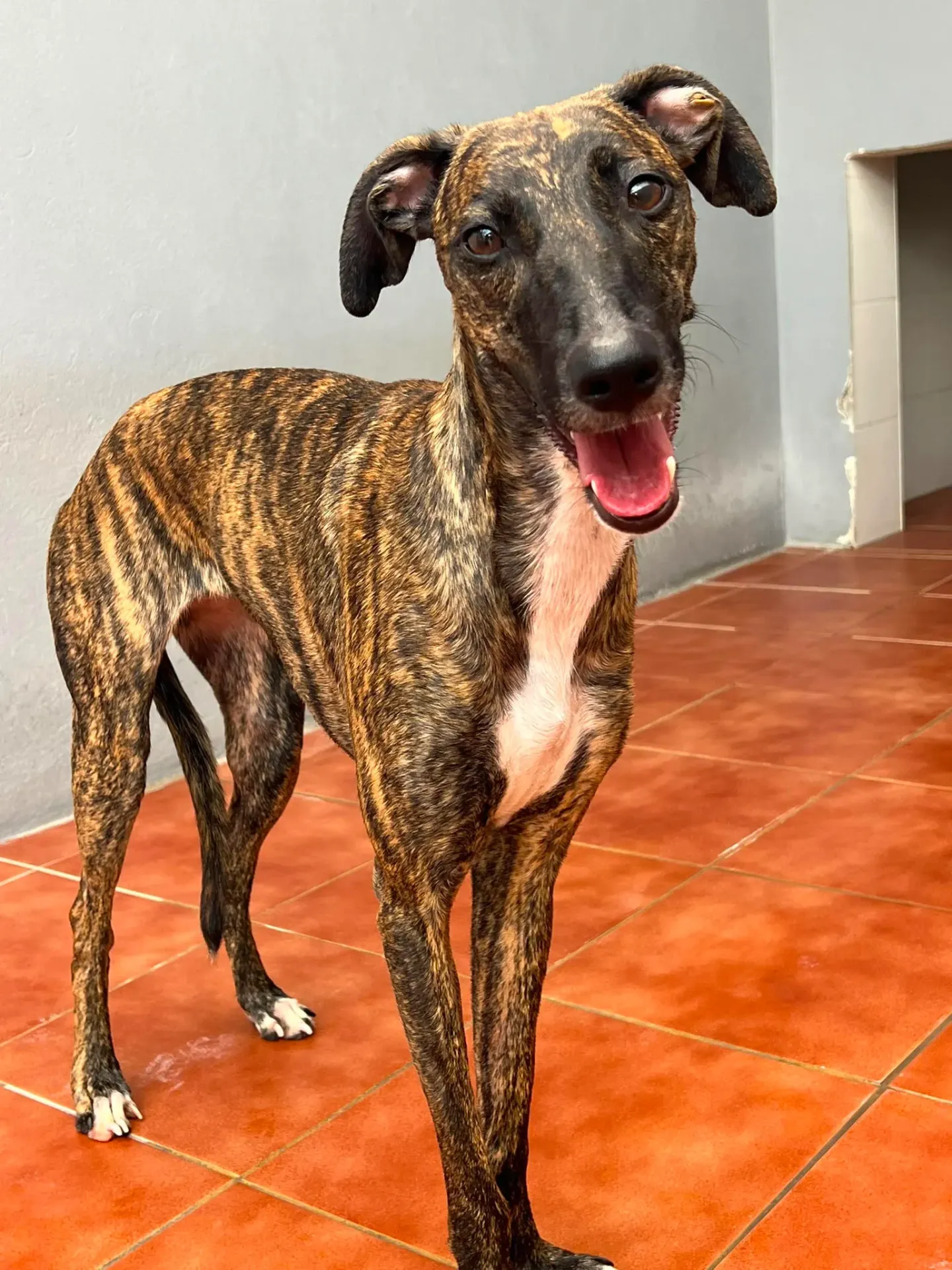 Mia, 1 years