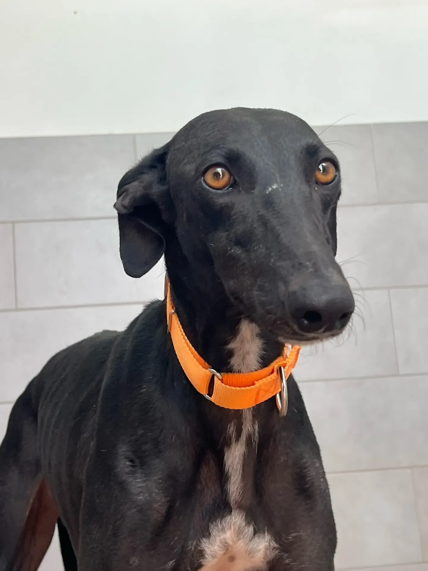 Mori, 2 years