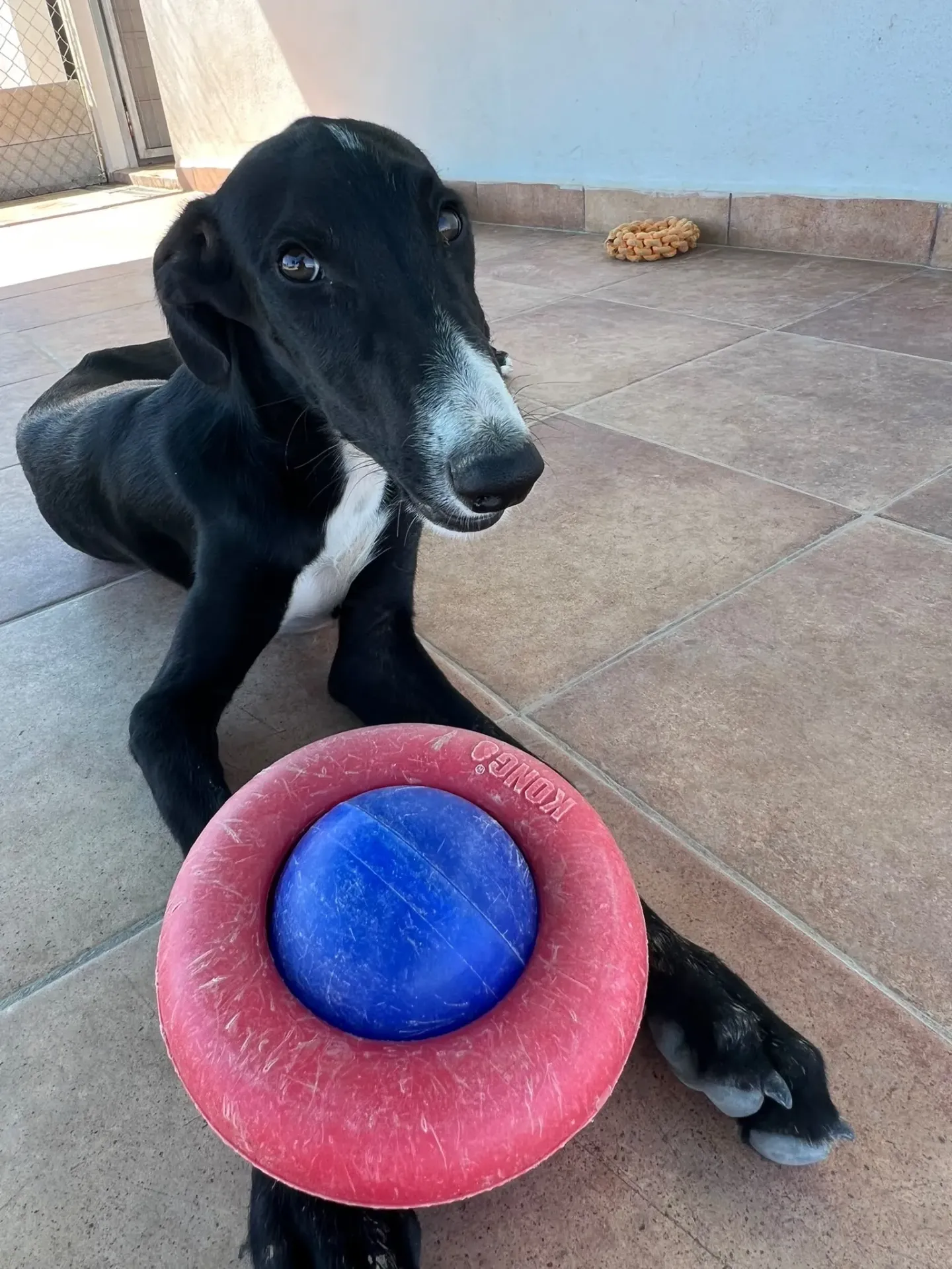 Camilo