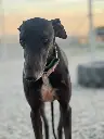 Paqui   4 years